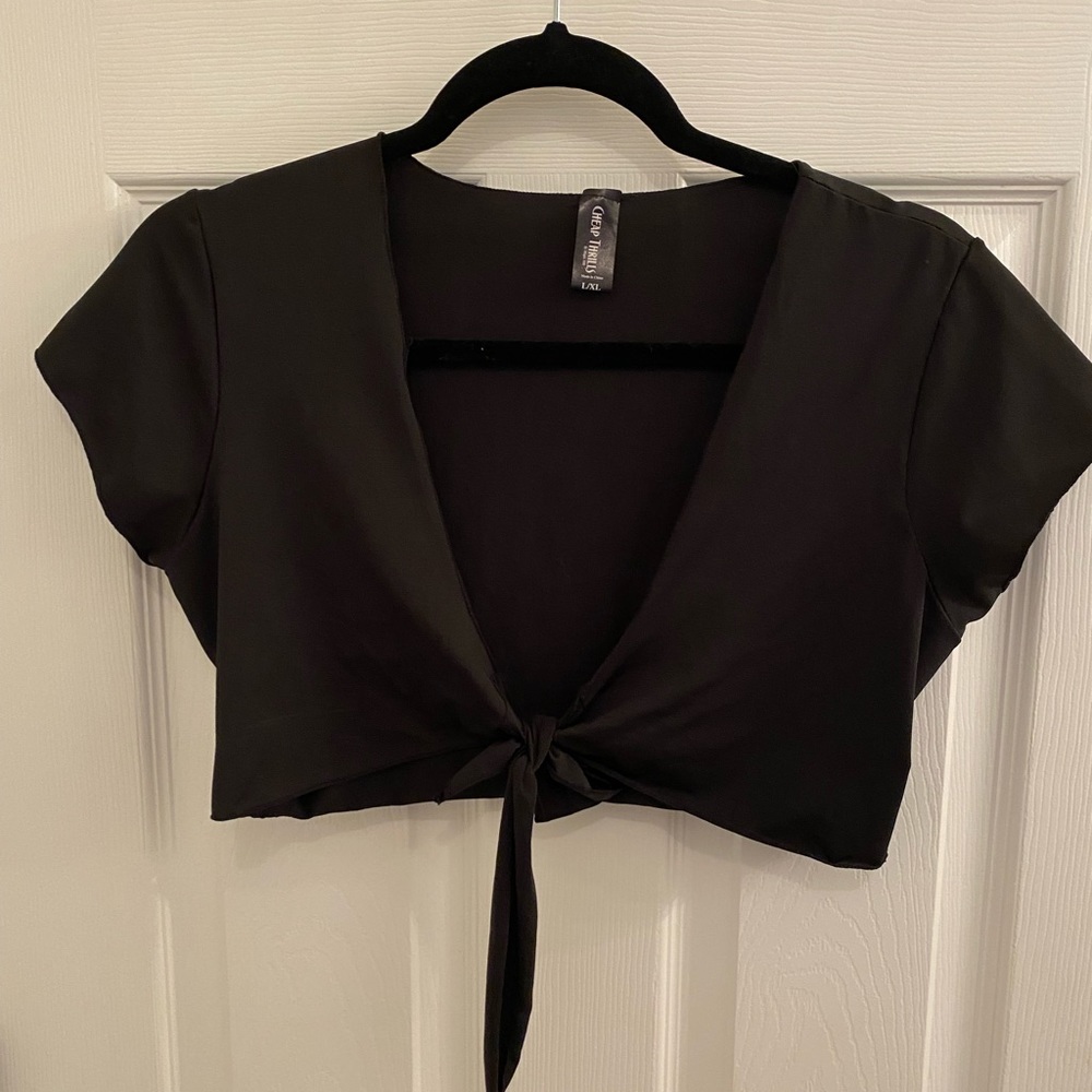Cropped front tie y2k brown top